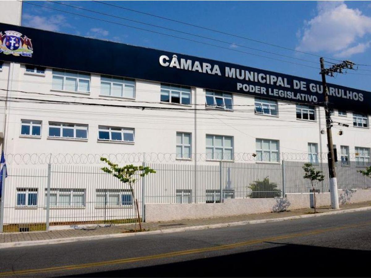 Diretrizes sobre Respeito aos Direitos Políticos e Prevenção ao Assédio Eleitoral