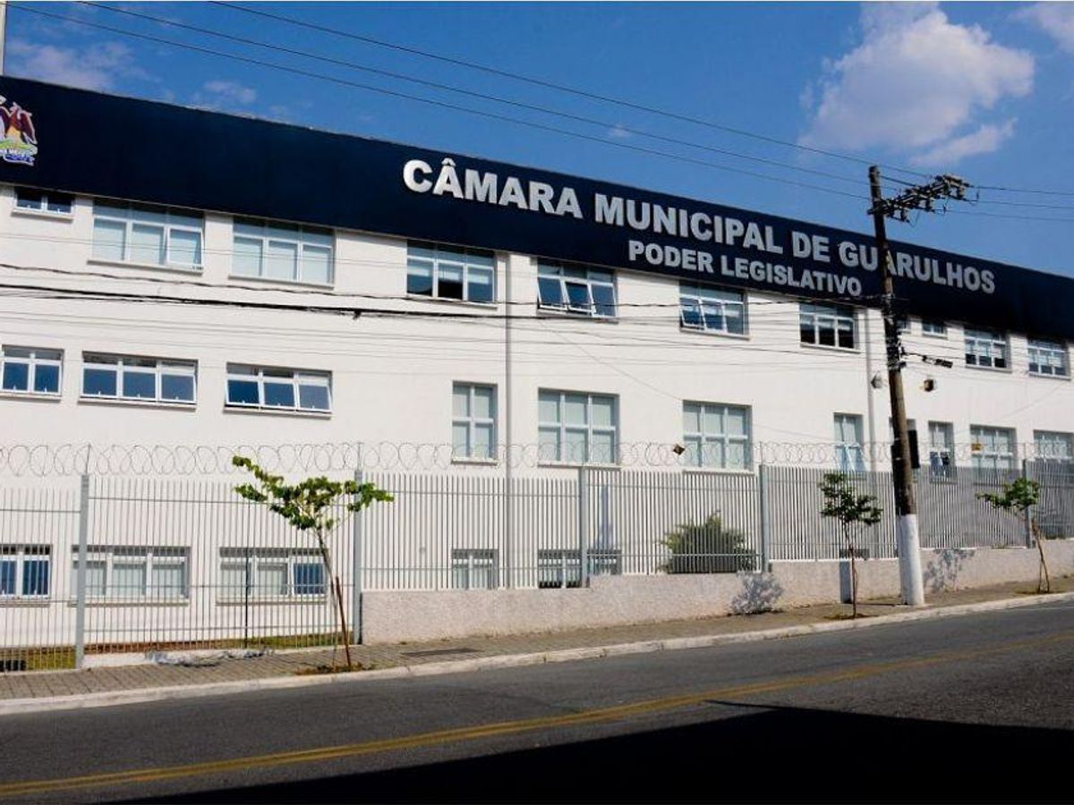 Diretrizes sobre Respeito aos Direitos Políticos e Prevenção ao Assédio Eleitoral