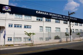 Diretrizes sobre Respeito aos Direitos Políticos e Prevenção ao Assédio Eleitoral