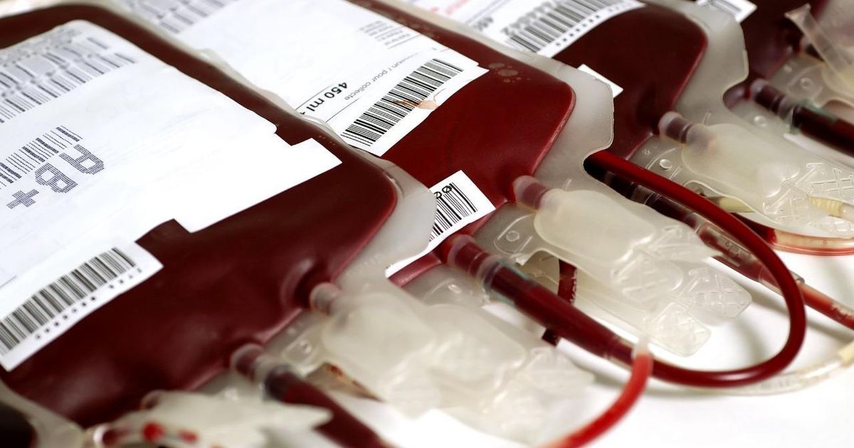 Bancos de sangue de Guarulhos necessitam de doadores dos tipos A e O negativo