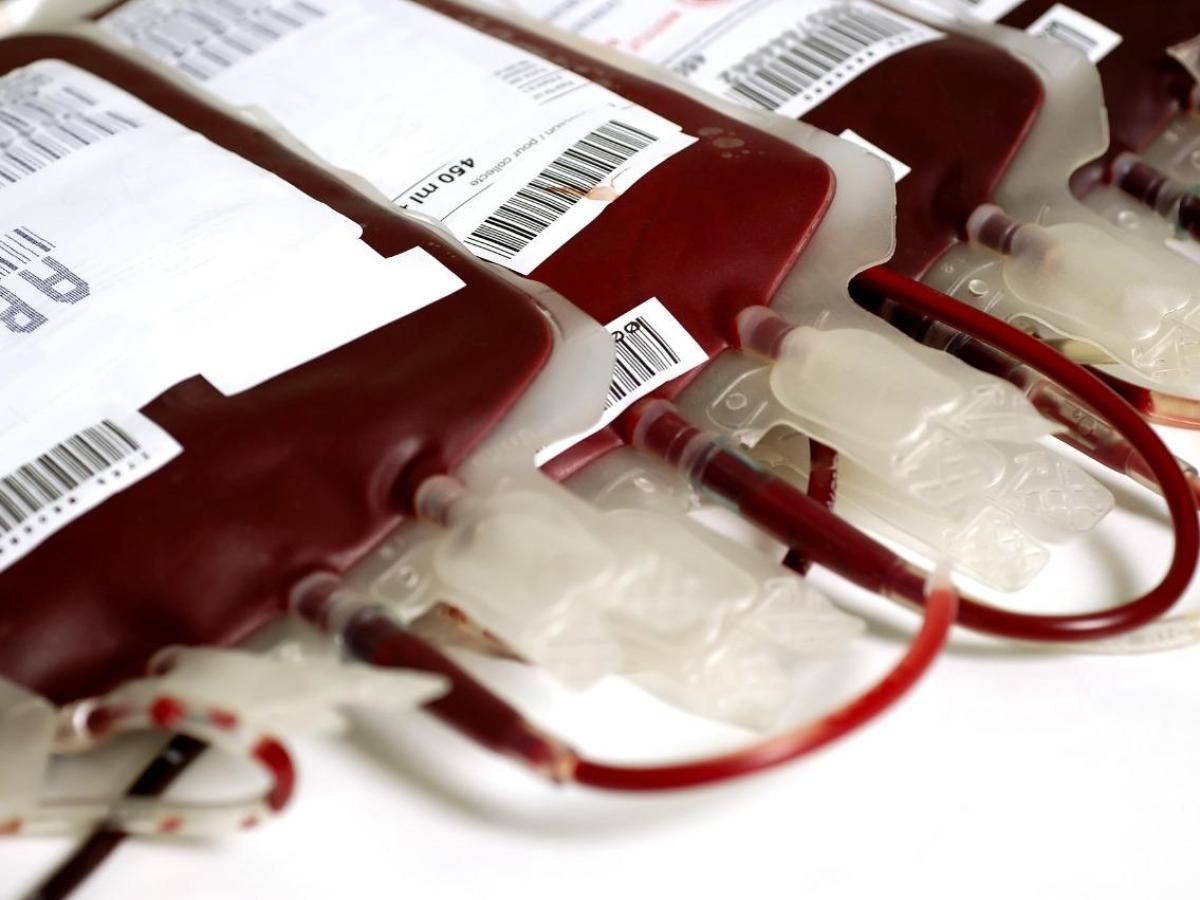 Bancos de sangue de Guarulhos (SP) estão com seus estoques abaixo do nível ideal para atendimento à população