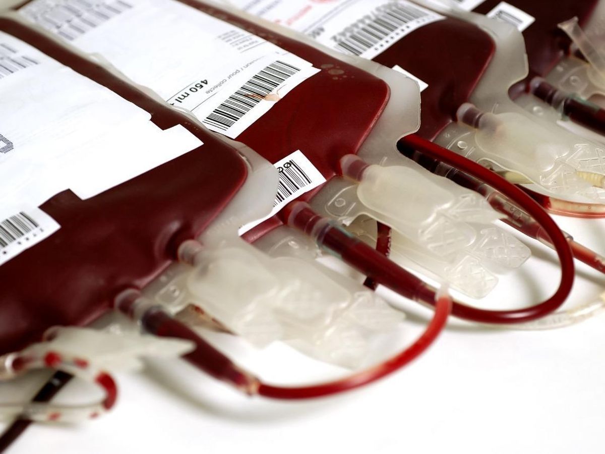 Bancos de sangue de Guarulhos (SP) estão com seus estoques abaixo do nível ideal para atendimento à população