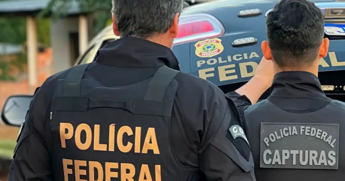 PF impede tráfico internacional de aves silvestres no Aeroporto de Guarulhos