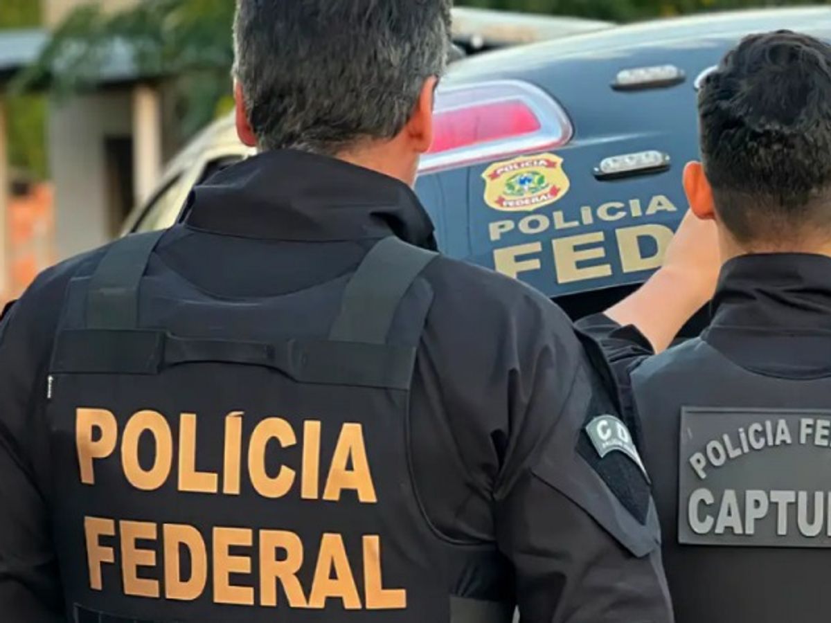 PF impede tráfico internacional de aves silvestres no Aeroporto de Guarulhos