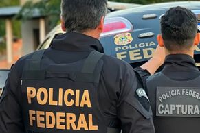 PF impede tráfico internacional de aves silvestres no Aeroporto de Guarulhos