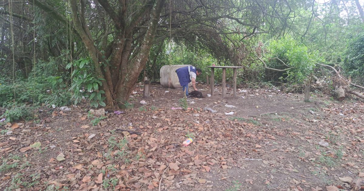 DPAN de Guarulhos resgata pitbull e dois filhotes abandonados após denúncias de ataques no Jardim da Mamãe