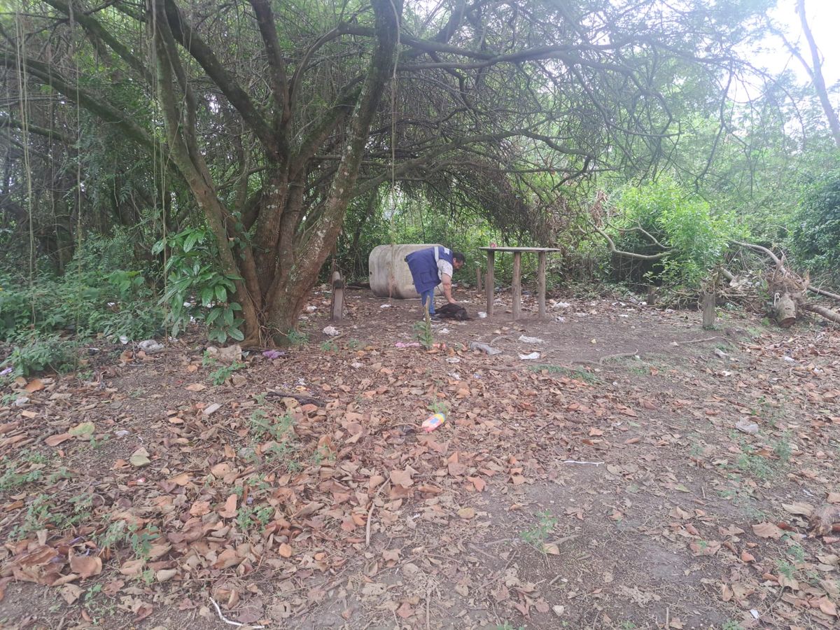 A servidora Katarina, permanece ao lado da pitbull para mantê-la calma enquanto os filhotes se escondem na área de mata próxima.