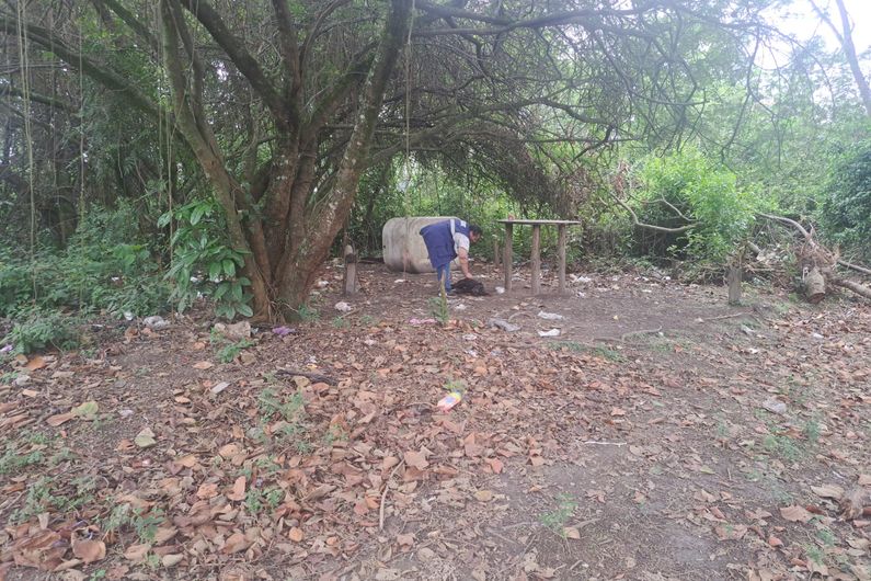 DPAN de Guarulhos resgata pitbull e dois filhotes abandonados após denúncias de ataques no Jardim da Mamãe