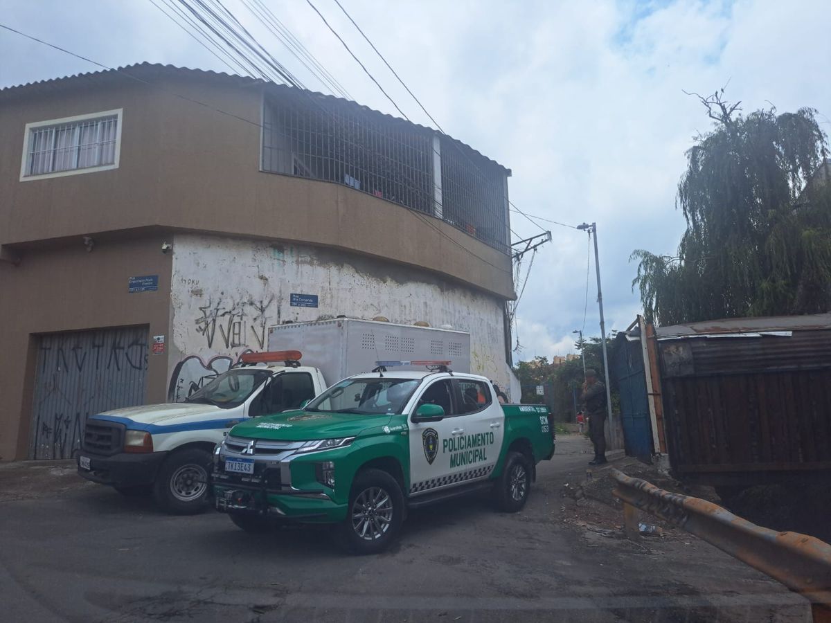 Equipes da DPAN e da GCM Ambiental em apoio ao resgate da pitbull e dos filhotes na região do campinho Cruzeirinho, no Jardim da Mamãe.